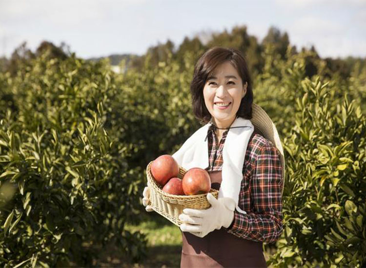 【潤(rùn)康】磨煤機(jī)磨輥與您分享：互聯(lián)網(wǎng)巨頭紛紛賣(mài)菜，農(nóng)民會(huì)不會(huì)被“割韭菜”？